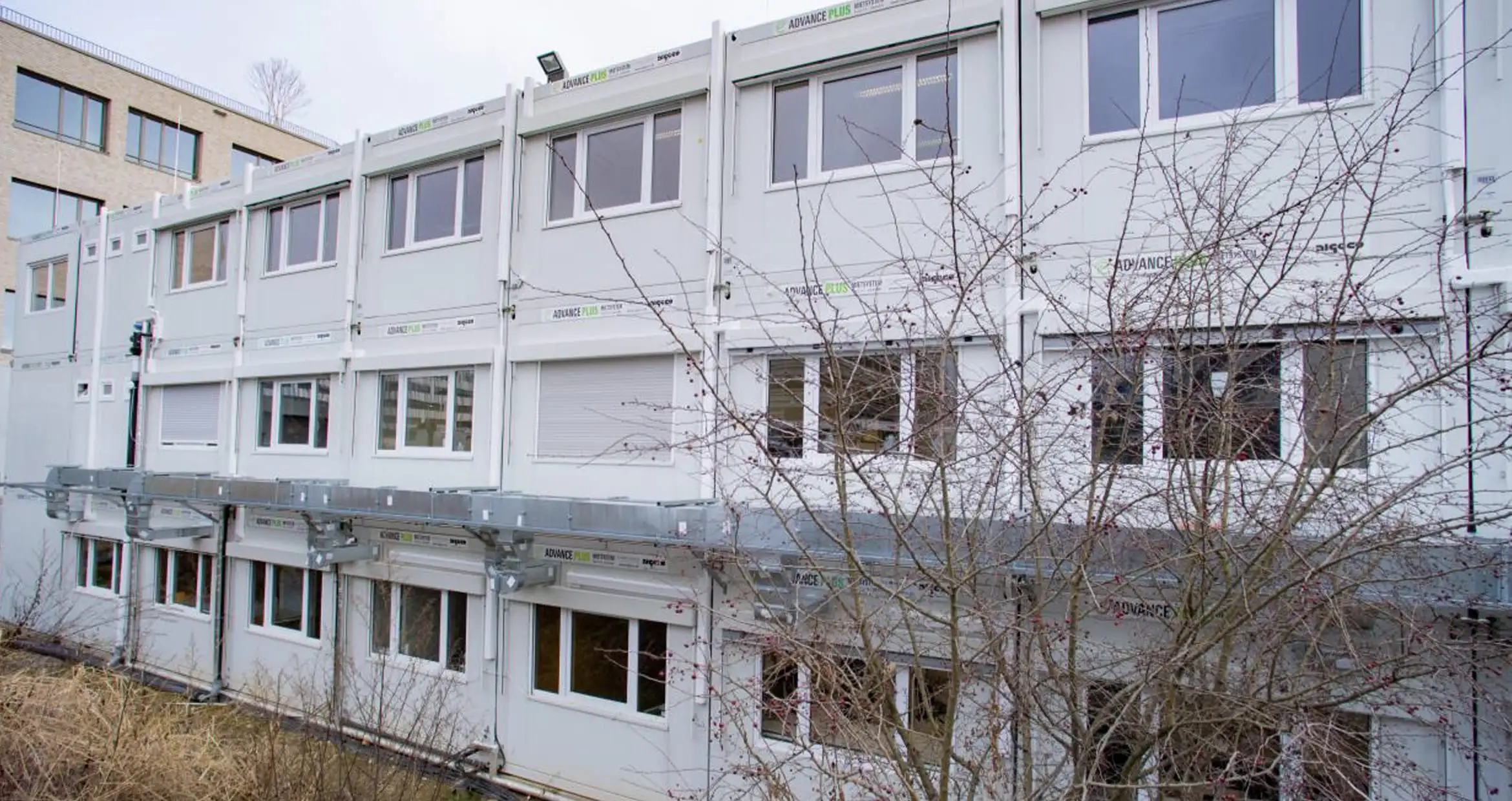 Immatics Biotechnologies Tübingen